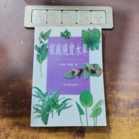 家庭观赏水草