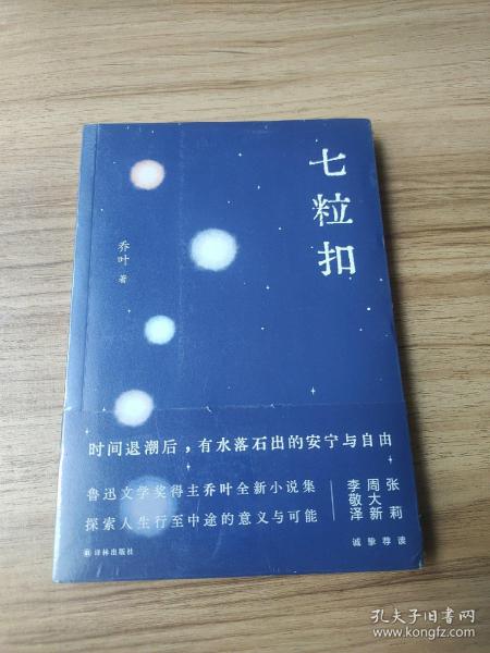 七粒扣（鲁迅文学奖得主乔叶全新小说集，探索人生行至中途的意义与可能）