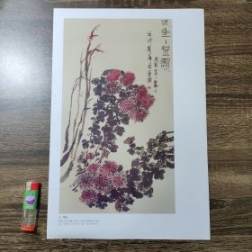 齐白石国画菊花活页一张 印刷