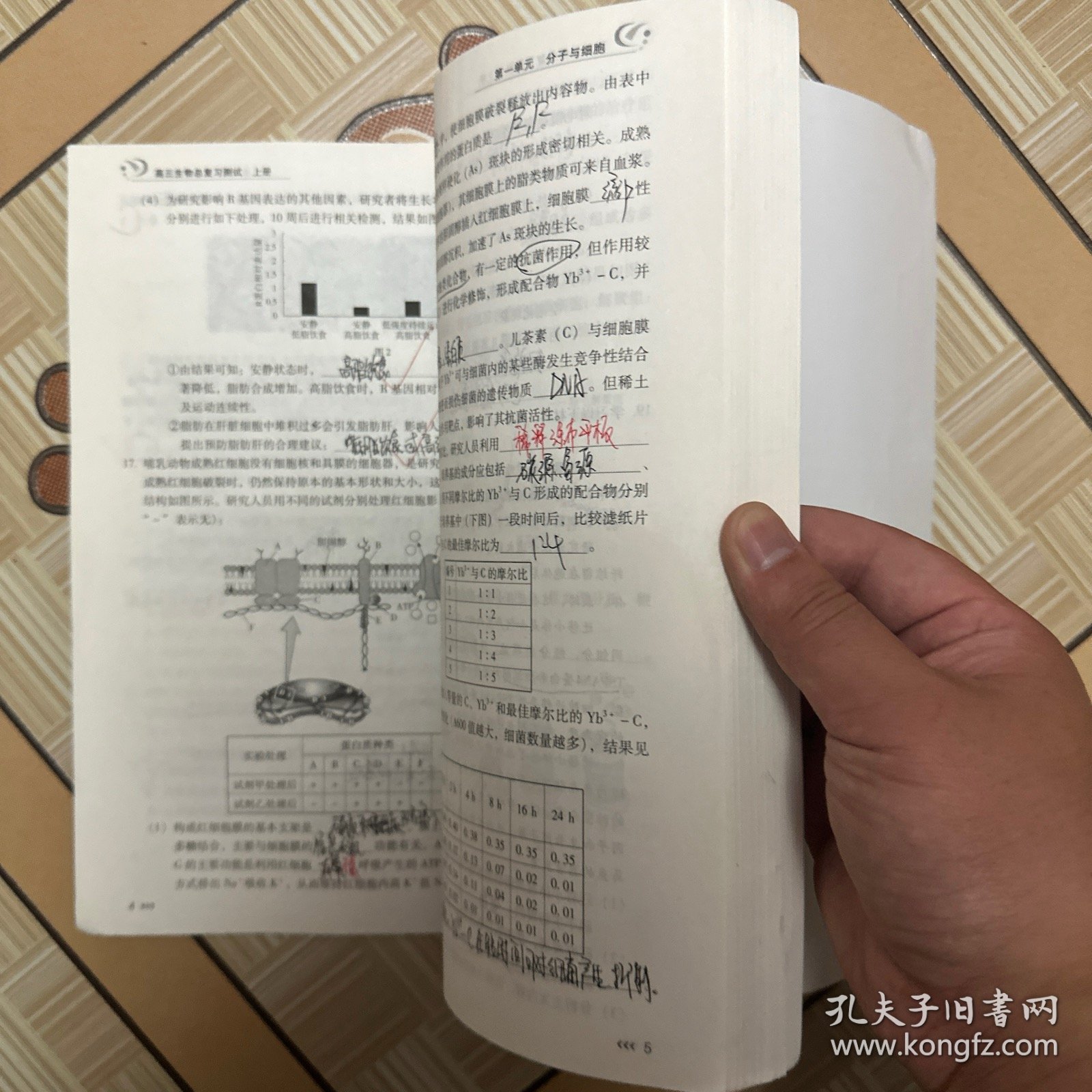 高三生物总复习测试（生物，上册），（有笔记，介意勿拍）