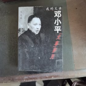 我的父亲邓小平：文革岁月