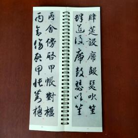 华夏万卷字帖近距离临摹字卡智永真草千字文字帖成人初学者草书钢笔硬笔毛笔临摹书法字帖