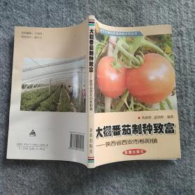 正版全新 金盾出版社  大棚番茄制种致富