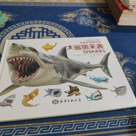 海洋怪物小百科：大鲨鱼来袭