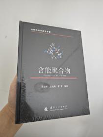 含能聚合物