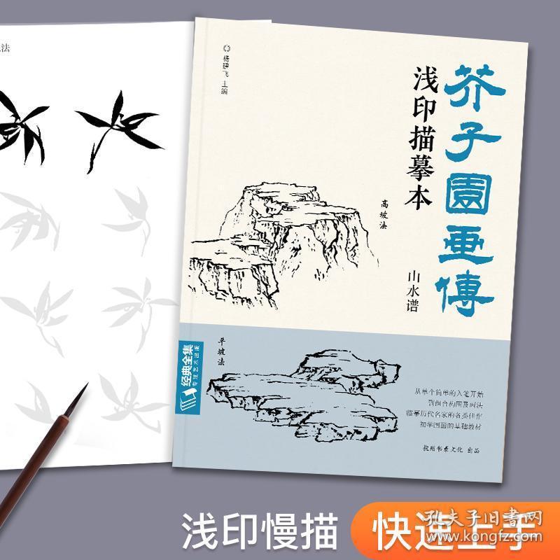 芥子园画传 浅印描摹本 山水谱中国画入门零基础教程白描底稿临摹