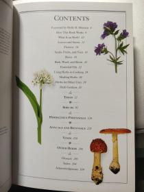 DK Smithsonian Handbooks Herbs:The Clearest recognition guides available 草药手册,DK出品,清晰且全面图片是鉴别草药最好的指南