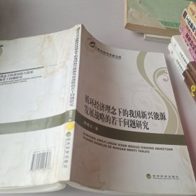 中青年经济学家文库：循环经济理念下的我国新兴能源发展战略的若干问题研究