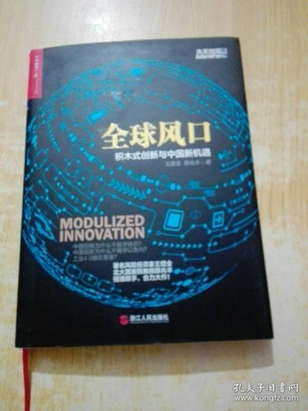 全球风口：积木式创新与中国新机遇