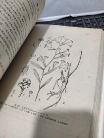 中药志 第一册(16开精装本,1961年5月第二次印刷,文字内容564页,照片179图片,详细参照书影)