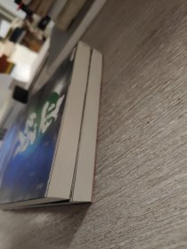 巫颂：一个被巫主宰的王朝 上下