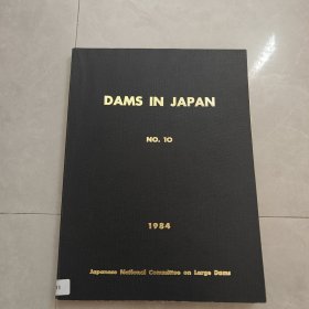 DAMS IN JAPAN NO.10