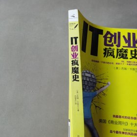 IT创业疯魔史