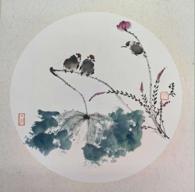 y498. 精品国画，禅一款，《荷花小鸟图》。保真，假一罚十。