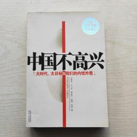 中国不高兴：大时代大目标及我们的内忧外患