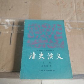 清史演义（下册