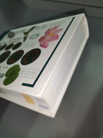 中草药实用图典