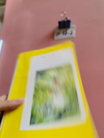 阿加莎·克里斯蒂作品55：控方证人