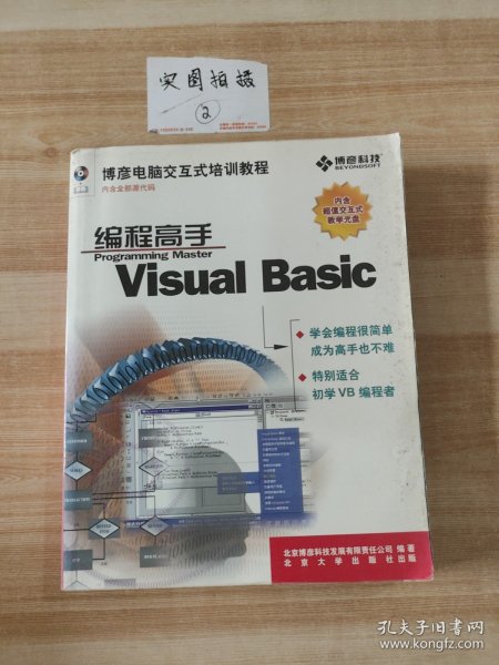 Visual Basic编程高手