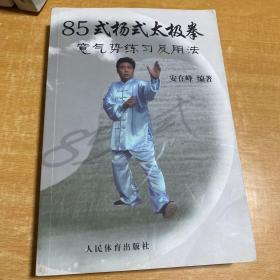 85式杨式太极拳意气势练习及用法