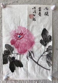 【保真字画，得自画家本人】 白光，35*25cm有合影[玫瑰][玫瑰] 白光，祖籍山东阳谷。2009年天津美术学院中国画系本科毕业，保送研究生，2013年天津美术学院中国画学院研究生毕业，留校任教，现为天津美术学院中国画教师、花鸟画高研创作班导师，中国美术家协会会员，中国书法家协会会员。