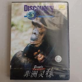 非洲灵猿   VCD未开封