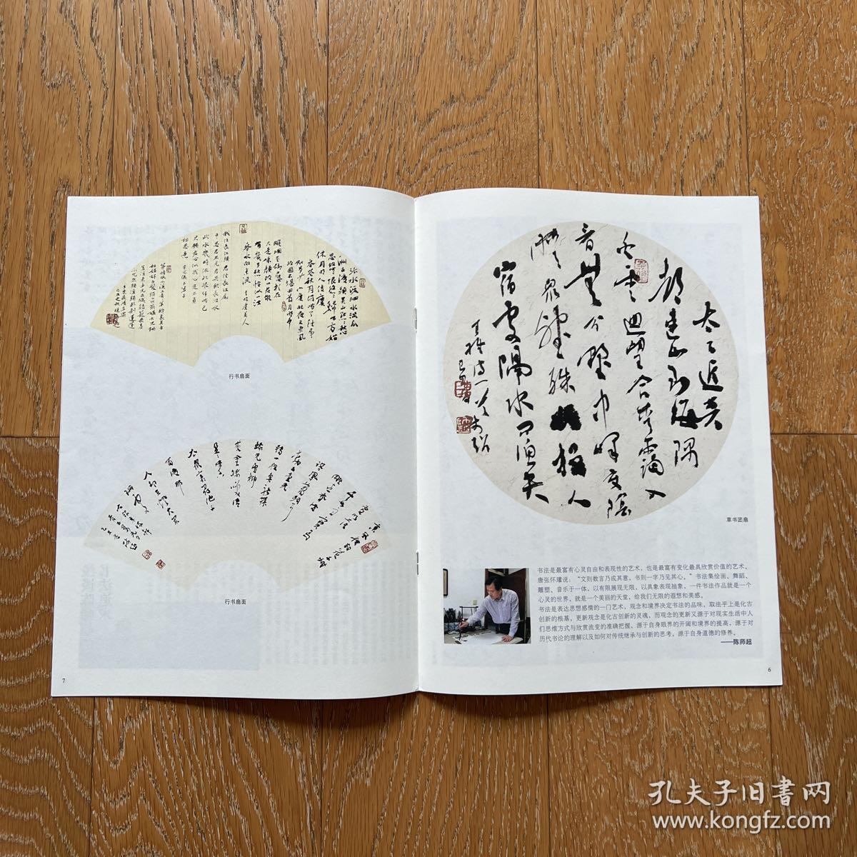 中国书法2009年·陈师超作品选·中国文化艺术精品·汉字书法艺术盛宴