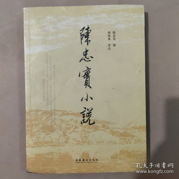 陈忠实小说