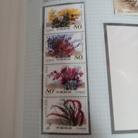 沙漠植成