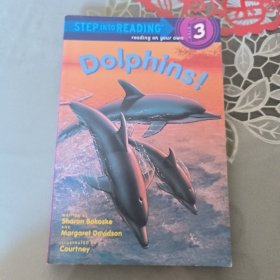 Dolphins !