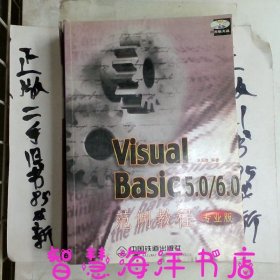 Visual Basic 5.0/6.0范例教程:专业版