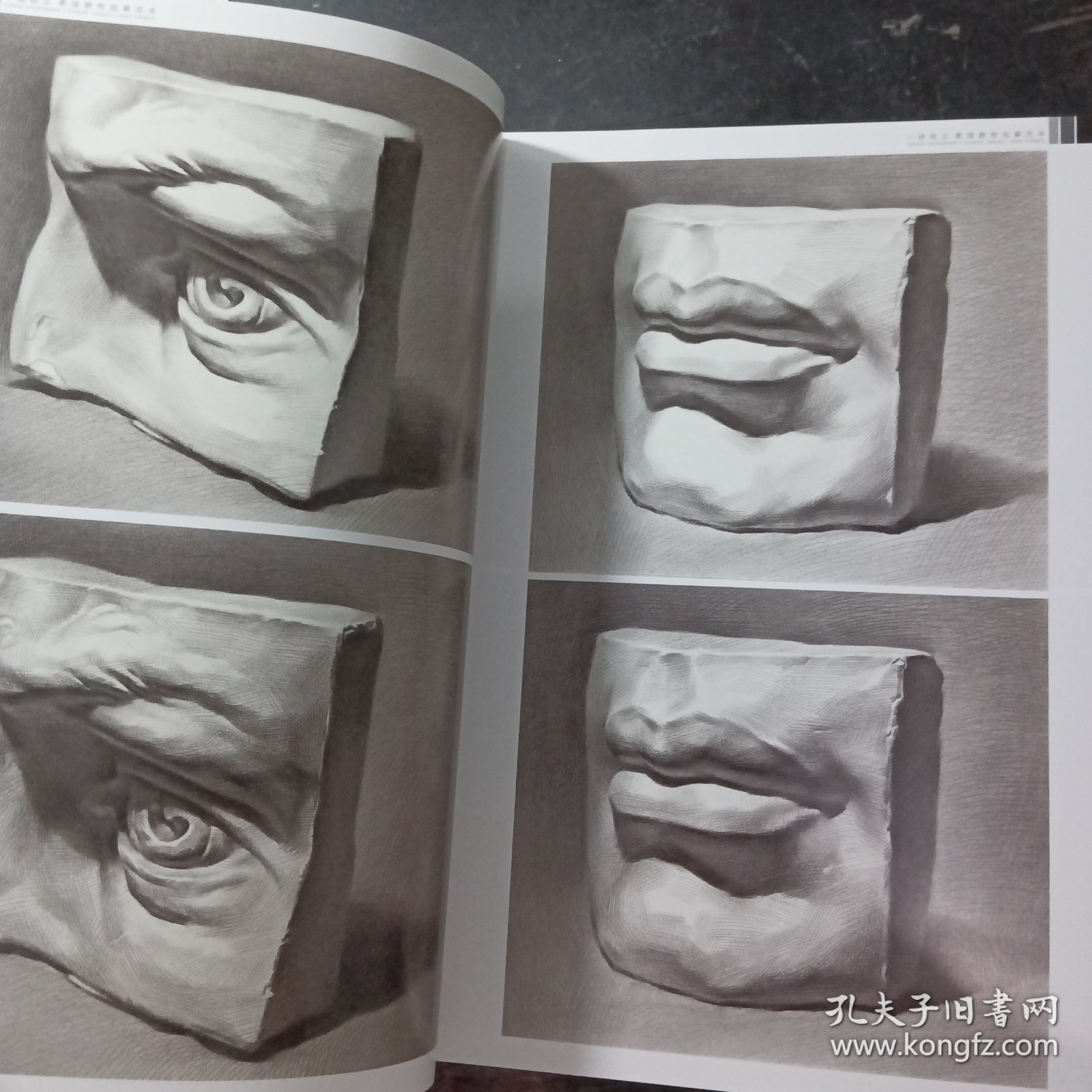 正版 一骑绝尘素描静物临摹范本2022烈公文化唐智源单体与组合照片对画