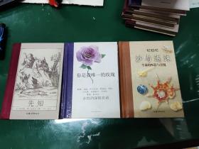 沙与泡沫(生命的叹息与喜悦)(精)+先知+你是我唯一的玫瑰（3册合售）