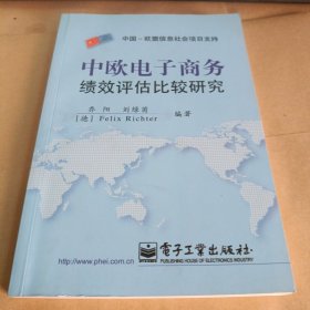 中欧电子商务绩效评估比较研究