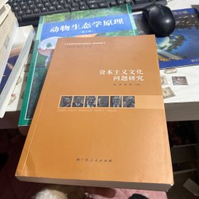资本主义文化问题研究