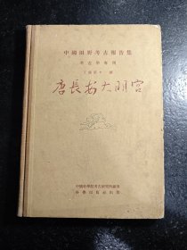 中国田野考古报告集 考古学专刊 丁种 第十一号 唐长安大明宫
