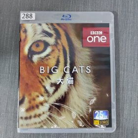 288高清影视光盘DVD：大猫 一张光盘盒装