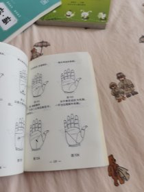 手相学图解 （ 手相1200图解304页）