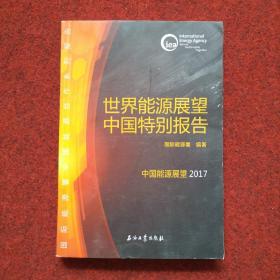 世界能源展望中国特别报告/2017中国能源展望