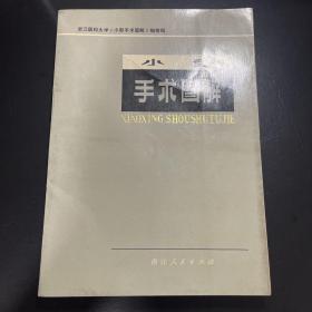 小型手术图解