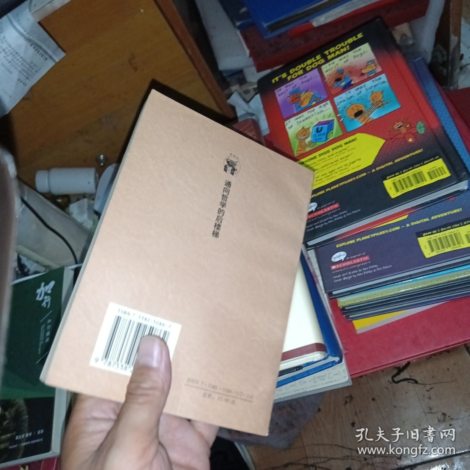 通向哲学的后楼梯 有划线