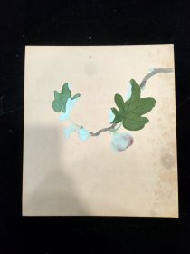 日本回流 :早期绢本佚名手绘 无花果卡板画
