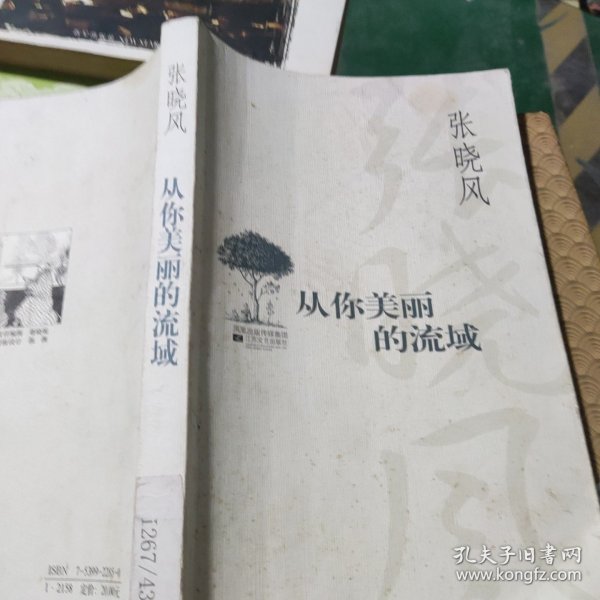 从你美丽的流域