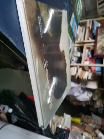 杨化喜油画艺术 未拆封