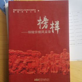 《铜陵劳模风采录》