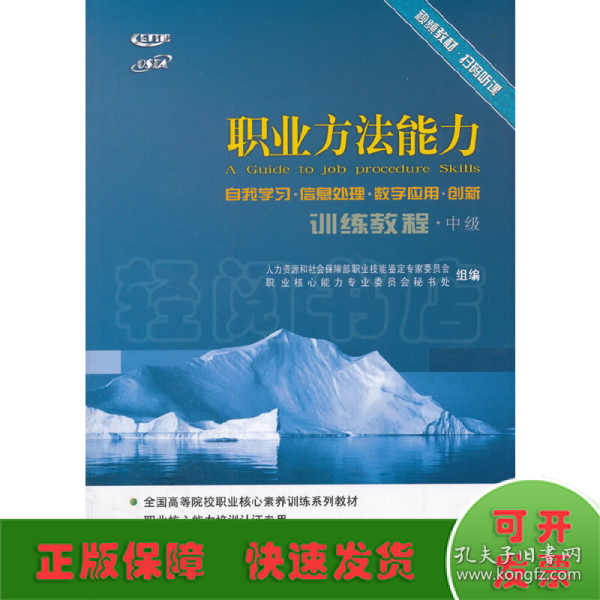 职业方法能力训练教程（自我学习 信息处理 数字应用 创新）（中级）（视频书）（C）—全国高等院校就业核心素养训练系列教材