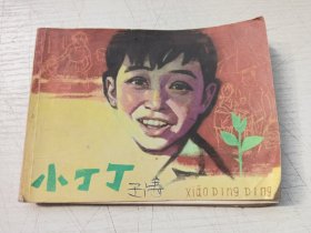 小丁丁