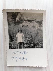 黑白照片：1959年兰州五泉山留影