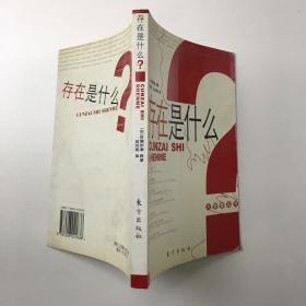 存在是什么