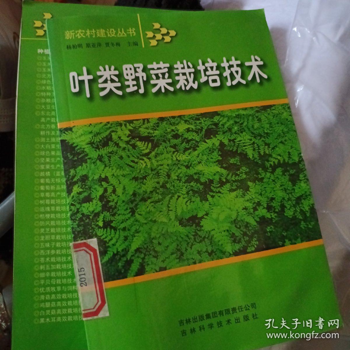 叶类野菜栽培技术